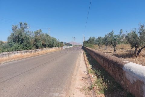 Terra a Bencatel, Evora, Bencatel - € 155.000 | Ref: SÒL_380 - foto 3