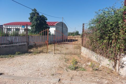 Terra a Bencatel, Evora, Bencatel - € 155.000 | Ref: SÒL_380 - foto 5