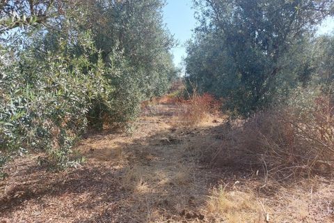 Terra a Bencatel, Evora, Bencatel - € 155.000 | Ref: SÒL_380 - foto 6