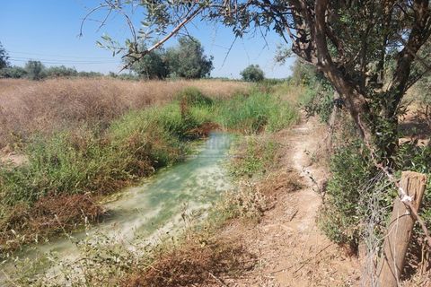 Terra a Bencatel, Evora, Bencatel - € 155.000 | Ref: SÒL_380 - foto 8