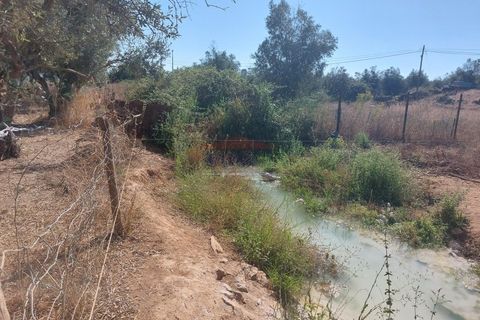 Terra a Bencatel, Evora, Bencatel - € 155.000 | Ref: SÒL_380 - foto 9