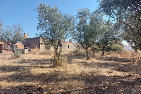 Terra a Bencatel, Evora, Bencatel - € 155.000 | Ref: SÒL_380 - foto 10