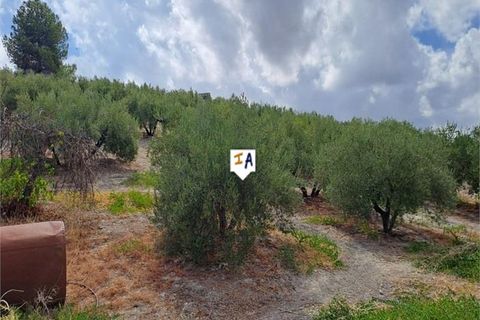 Byhus i Monte Lope Alvarez, Jaen, Monte Lope Alvarez - € 132.000 | Ref: TH6000 - foto 15