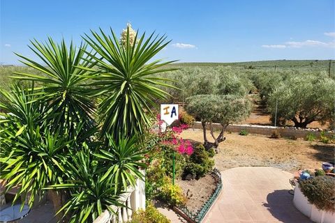 Villa a Puente Genil, Cordoba, Puente Genil - € 199.000 | Ref: VL1193 - foto 7