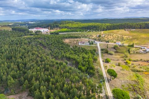 Helårsgrund i Torres Vedras, Lisbon, Torres Vedras - € 75.000 | Ref: DH622 - foto 3