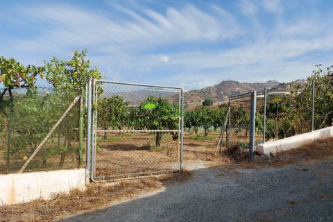 Herregård i Velez Malaga, Malaga, Velez Malaga - € 449 000 | Ref: 7833 - foto 30