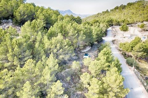 Terra a Benissa, Alicante, Benissa - € 385.000 | Ref: AG474034 - foto 3