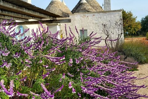 Landejendom i Ostuni, Brindisi, Ostuni - € 750.000 | Ref: 299 - foto 6