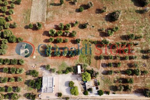 Villa i Carovigno, Brindisi, Carovigno - € 180.000 | Ref: 180CAROVIGNO - foto 9