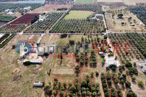 Villa i Carovigno, Brindisi, Carovigno - € 180.000 | Ref: 180CAROVIGNO - foto 10