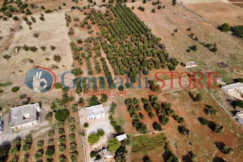 Villa i Carovigno, Brindisi, Carovigno - € 180.000 | Ref: 180CAROVIGNO - foto 11