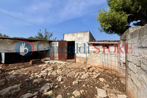 Villa i Carovigno, Brindisi, Carovigno - € 180.000 | Ref: 180CAROVIGNO - foto 28