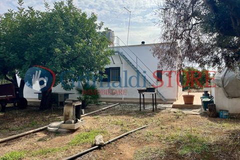 Villa i Carovigno, Brindisi, Carovigno - € 180.000 | Ref: 180CAROVIGNO - foto 30