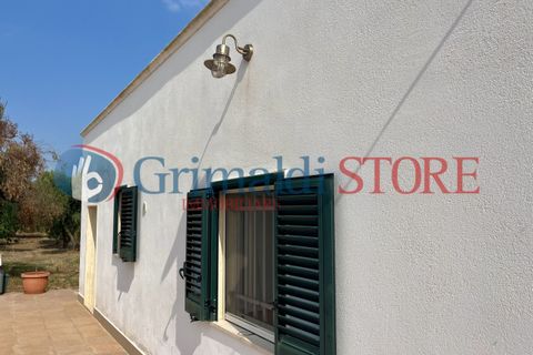 Villa i Carovigno, Brindisi, Carovigno - € 180.000 | Ref: 180CAROVIGNO - foto 37