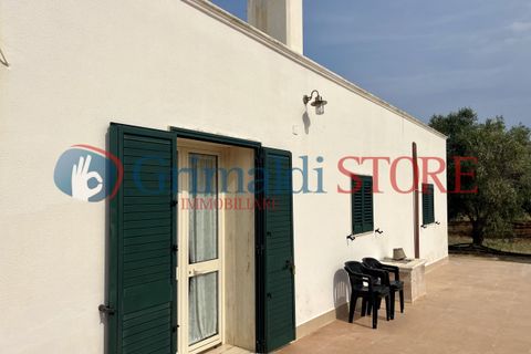 Villa i Carovigno, Brindisi, Carovigno - € 180.000 | Ref: 180CAROVIGNO - foto 38