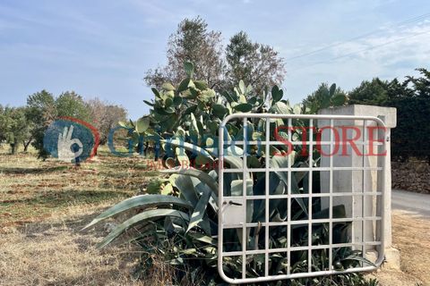 Villa i Carovigno, Brindisi, Carovigno - € 180.000 | Ref: 180CAROVIGNO - foto 44