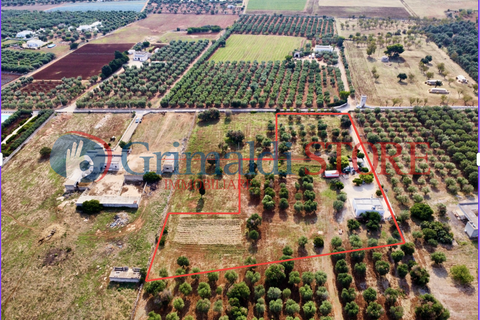 Villa i Carovigno, Brindisi, Carovigno - € 180.000 | Ref: 180CAROVIGNO - foto 45