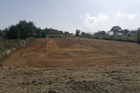 Farm i Moncao, Viana do Castelo, Moncao - € 700.000 | Ref: REF384 - foto 4