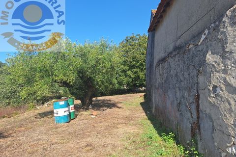 Villa a Batalha, Leiria, Batalha - € 120.000 | Ref: CAS_732 - foto 22
