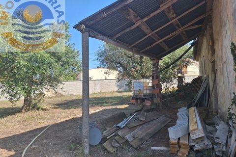 Villa a Batalha, Leiria, Batalha - € 120.000 | Ref: CAS_732 - foto 23