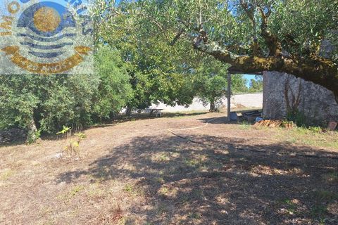 Villa a Batalha, Leiria, Batalha - € 120.000 | Ref: CAS_732 - foto 24