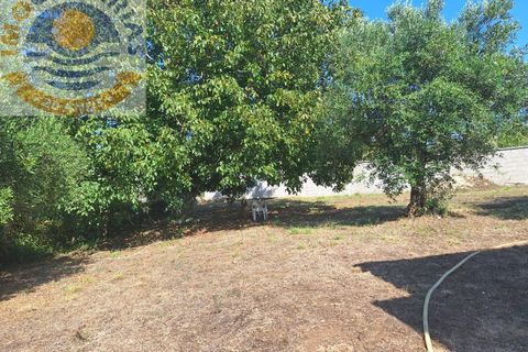 Villa a Batalha, Leiria, Batalha - € 120.000 | Ref: CAS_732 - foto 25