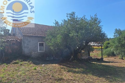 Villa a Batalha, Leiria, Batalha - € 120.000 | Ref: CAS_732 - foto 26