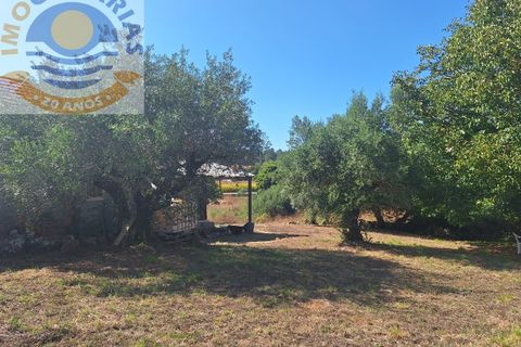 Villa a Batalha, Leiria, Batalha - € 120.000 | Ref: CAS_732 - foto 28