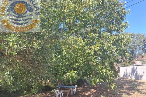 Villa a Batalha, Leiria, Batalha - € 120.000 | Ref: CAS_732 - foto 29