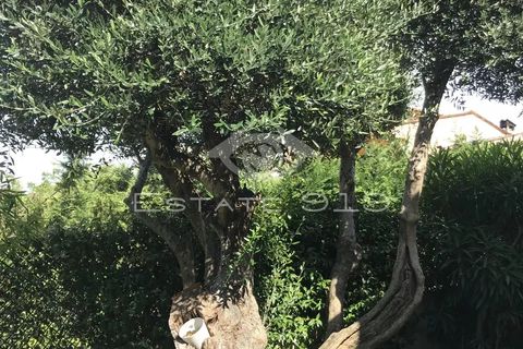 Villa i Le Rouret, Alpes-Maritimes, Le Rouret - € 430.000 | Ref: MS625VM - foto 21