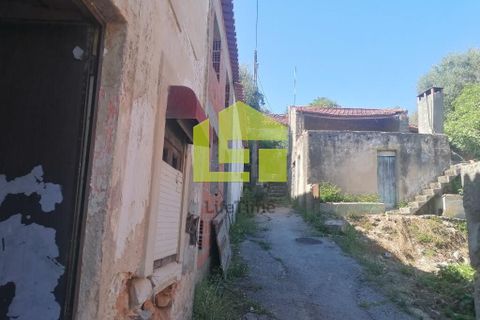 Byhus i Soure, Coimbra, Soure - € 87.500 | Ref: LT1249 - foto 48