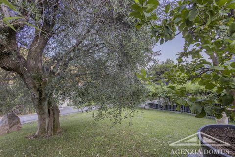 Villa a Ventimiglia, Imperia, Ventimiglia - € 850.000 | Ref: AG - DOM F155 - foto 48