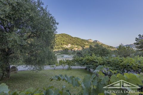 Villa a Ventimiglia, Imperia, Ventimiglia - € 850.000 | Ref: AG - DOM F155 - foto 49