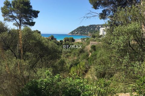 Finca i Canyamel, Mallorca, Canyamel - € 365.000 | Ref: 1783 - foto 1