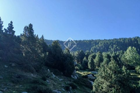 Terra a Encamp, Andorra, Encamp - € 1.900.000 | Ref: AND53223 - foto 6