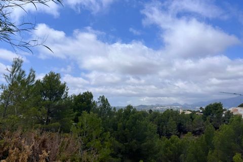 Grond in Callosa D'en Sarria, Alicante, Callosa D'en Sarria - € 850.000 | Ref: 2467V - foto 6
