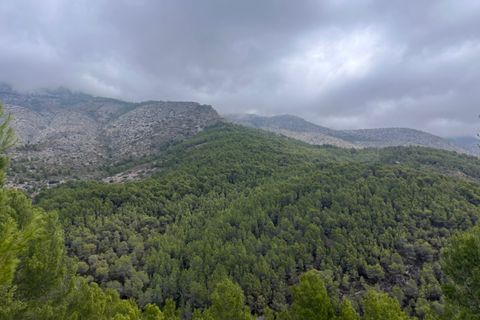 Grond in Callosa D'en Sarria, Alicante, Callosa D'en Sarria - € 850.000 | Ref: 2467V - foto 8