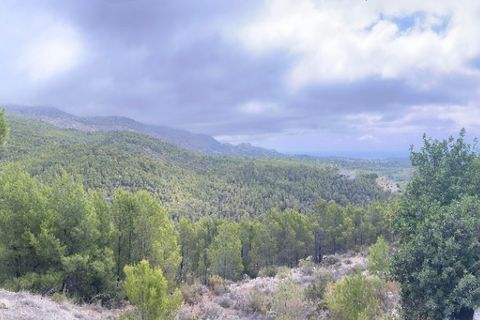 Grond in Callosa D'en Sarria, Alicante, Callosa D'en Sarria - € 850.000 | Ref: 2467V - foto 14