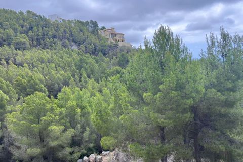 Grond in Callosa D'en Sarria, Alicante, Callosa D'en Sarria - € 850.000 | Ref: 2467V - foto 17
