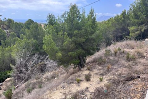 Grond in Callosa D'en Sarria, Alicante, Callosa D'en Sarria - € 850.000 | Ref: 2467V - foto 19
