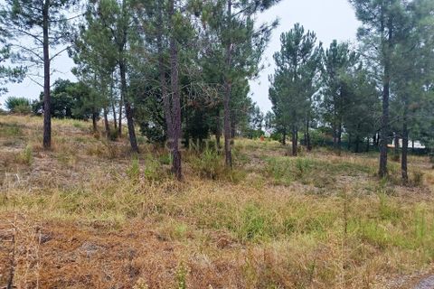 Helårsgrund i Tomar, Santarem, Tomar - € 65.000 | Ref: C0506-00211 - foto 2