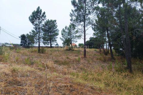 Helårsgrund i Tomar, Santarem, Tomar - € 65.000 | Ref: C0506-00211 - foto 3