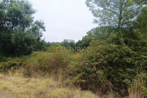 Helårsgrund i Tomar, Santarem, Tomar - € 65.000 | Ref: C0506-00211 - foto 4