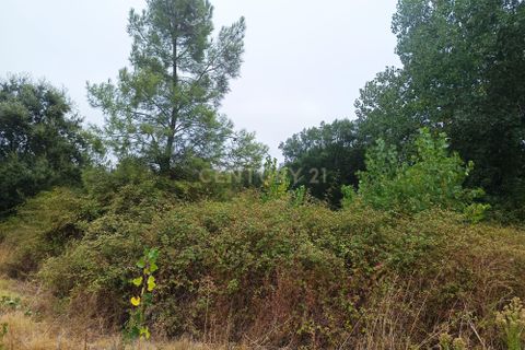 Helårsgrund i Tomar, Santarem, Tomar - € 65.000 | Ref: C0506-00211 - foto 5