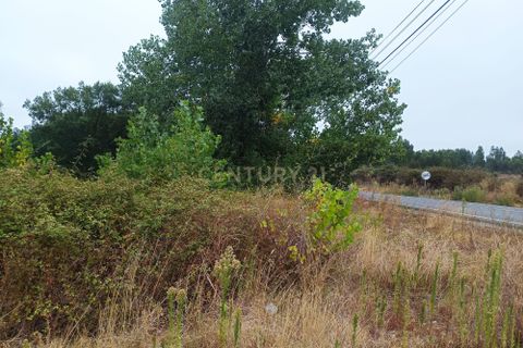 Helårsgrund i Tomar, Santarem, Tomar - € 65.000 | Ref: C0506-00211 - foto 6