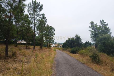 Helårsgrund i Tomar, Santarem, Tomar - € 65.000 | Ref: C0506-00211 - foto 7