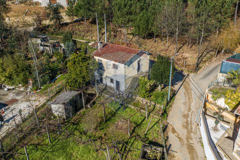 Villa i Celorico de Basto, Braga, Celorico de Basto - € 85.000 | Ref: 126221008-294 - foto 3