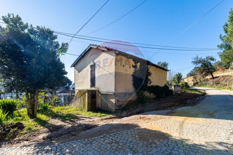 Villa i Celorico de Basto, Braga, Celorico de Basto - € 85.000 | Ref: 126221008-294 - foto 8