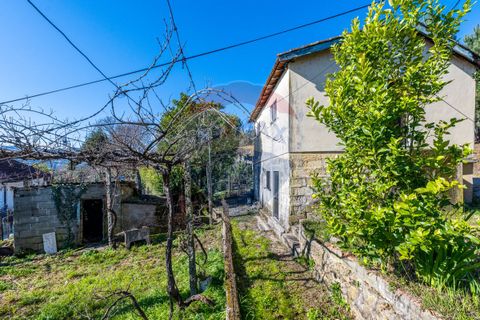 Villa i Celorico de Basto, Braga, Celorico de Basto - € 85.000 | Ref: 126221008-294 - foto 9