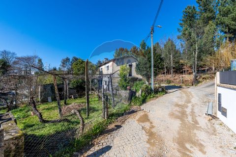 Villa i Celorico de Basto, Braga, Celorico de Basto - € 85.000 | Ref: 126221008-294 - foto 10